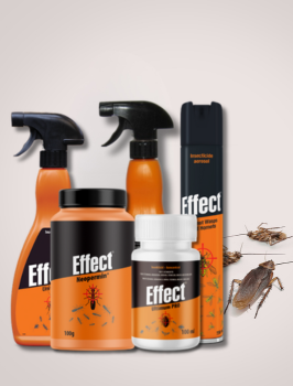 EFFECT ინექტიციდები