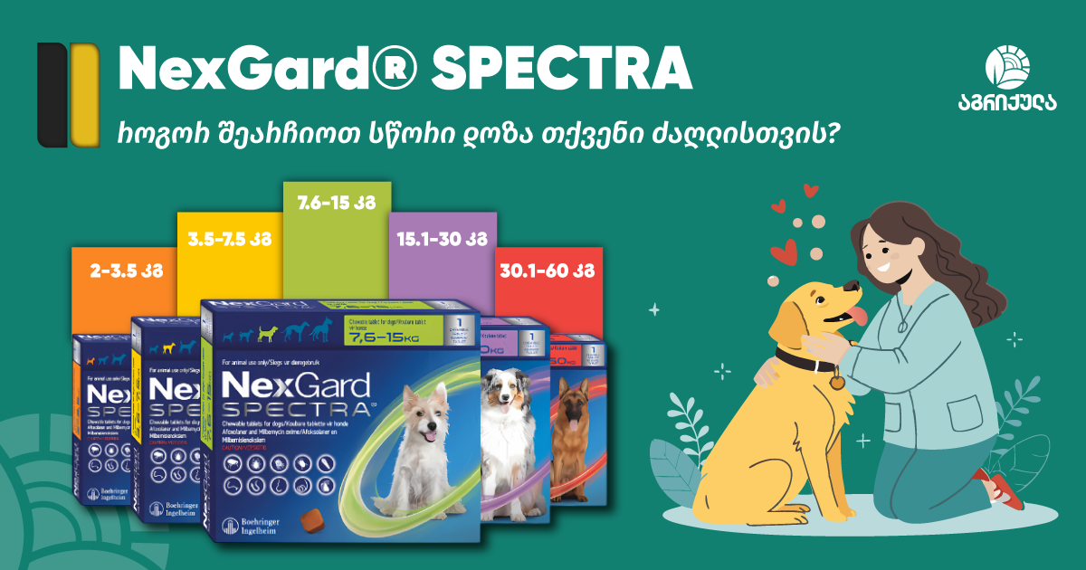 როგორ შეარჩიოთ სწორად NexGard® SPECTRA თქვენი ძაღლისთვის?