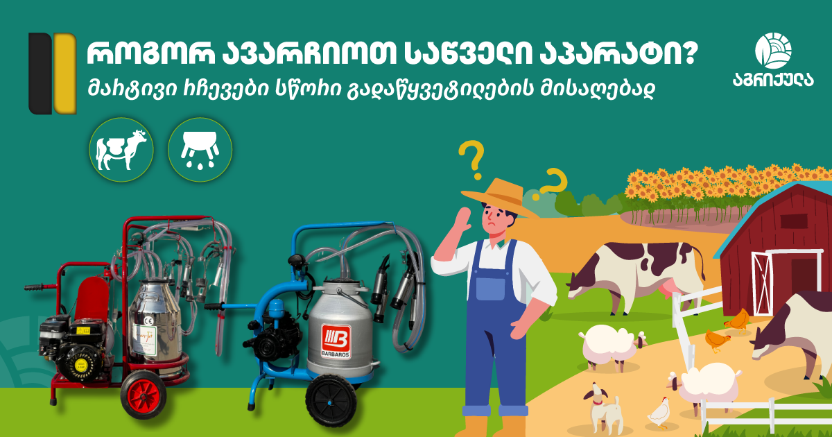როგორ ავარჩიოთ საწველი აპარატი: პრაქტიკული გზამკვლევი ფერმერებისთვის
