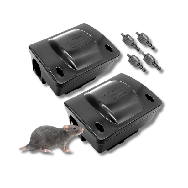 თაგვის ყუთი ხაფანგით