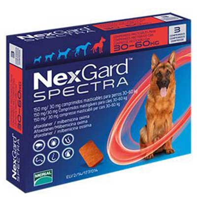 Nexgard Spectra XL, 30-60 kg dog (1 tablet)