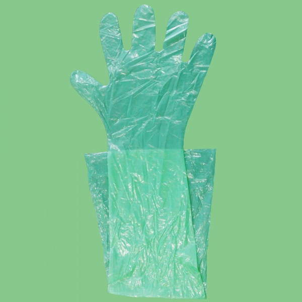 Veterinary (gynecological) glove