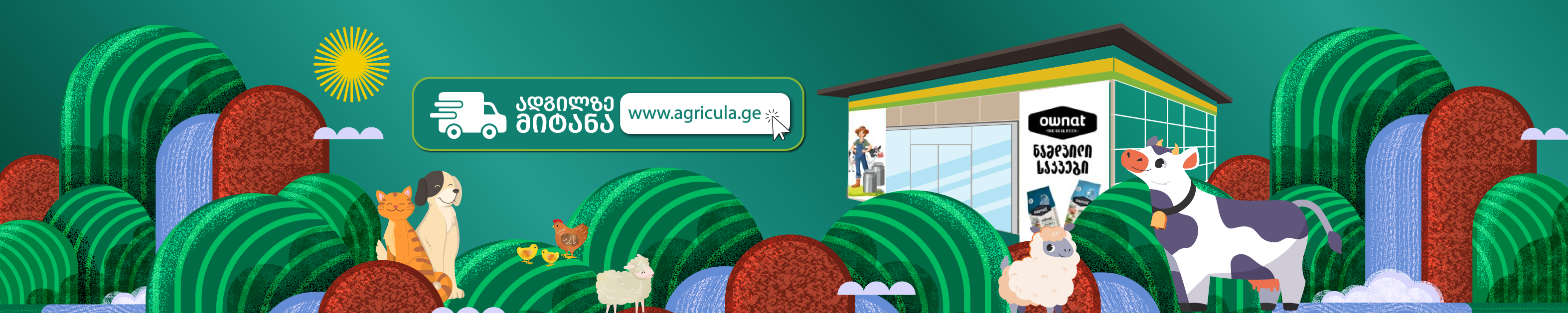 ჩვენს შესახებ